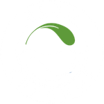 Nemo Chronos